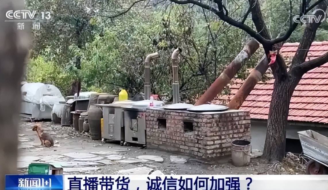 某网红翻车记:假人设卖假货终被封号罚款