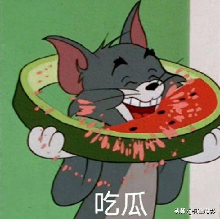 一日6动态:复合家暴道歉,杨紫新况最意外