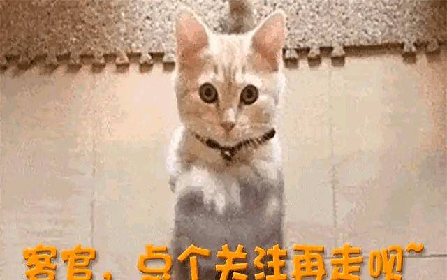 白鹿风波再曝猛料!十万红包发送给粉丝