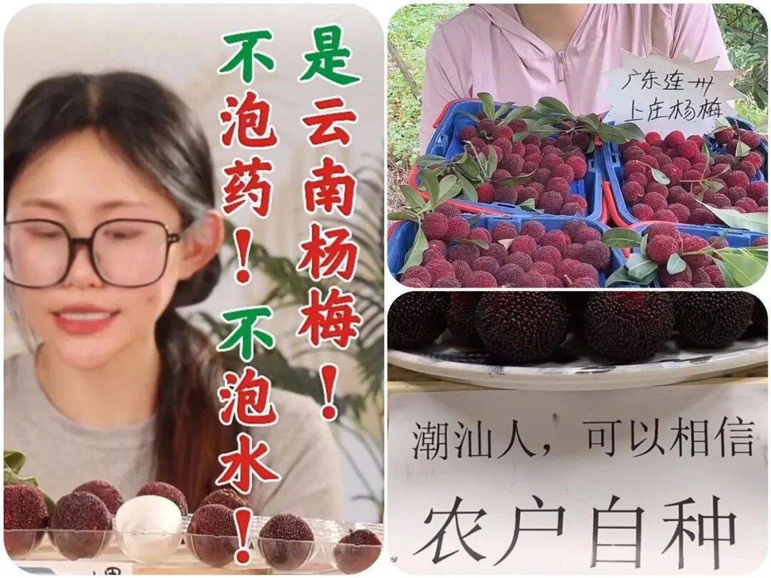 网红杨梅塌房:消费者心疼果农但更忧心食品安全