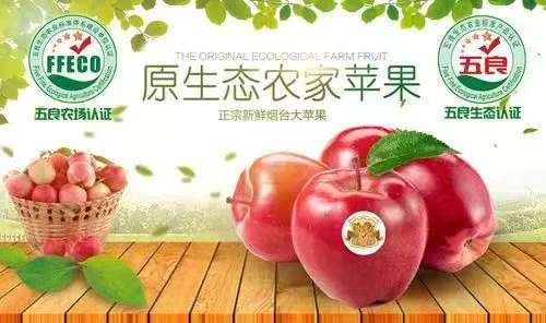 五良生态农业标准认证体系介绍说明