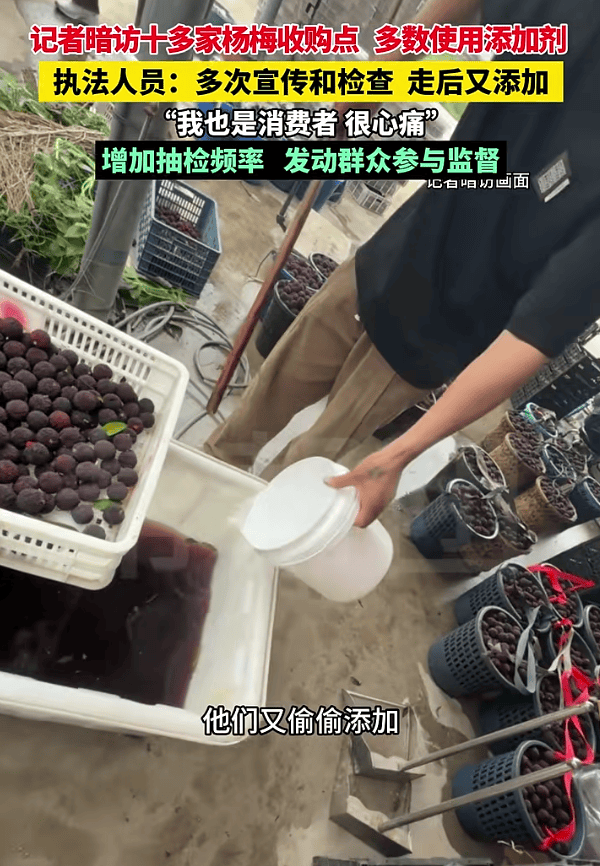 网红杨梅塌房：消费者心疼果农但更忧心食品安全