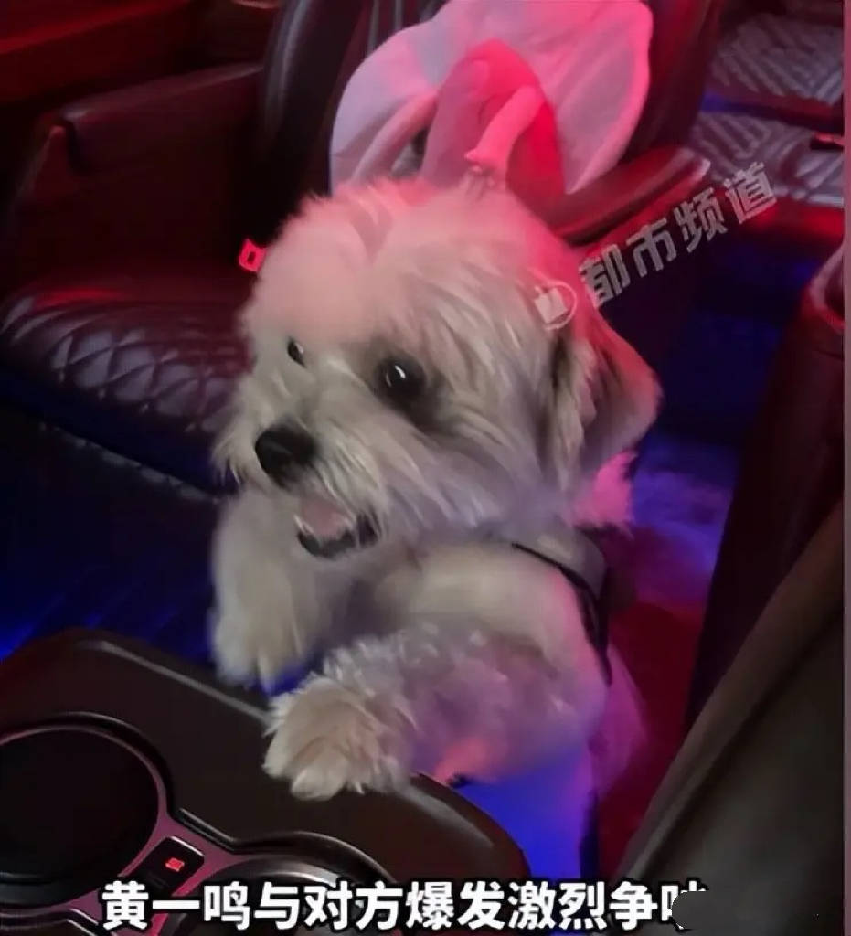 百万网红虐狗人设崩塌,前男友实锤全揭秘