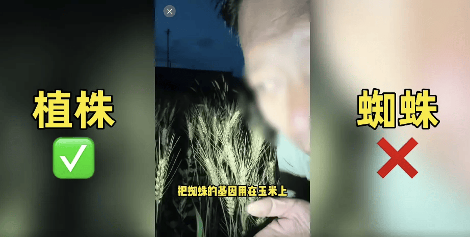 200万网红造谣袁隆平杂交水稻？真相来了！