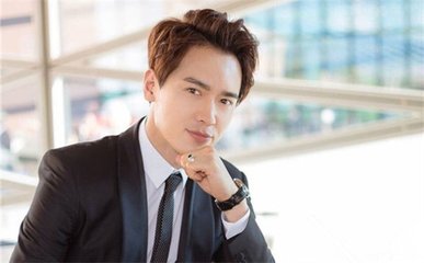 高云翔悉尼事件 形象受损