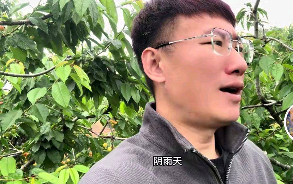 杨二狗2万分手费反转,优异人设崩塌引热议