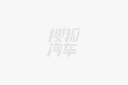 王力宏代言腾势 千万代言费全买比亚迪股票